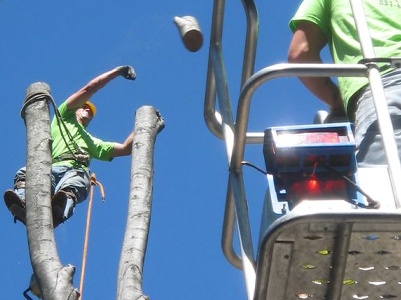 Professional Climbers