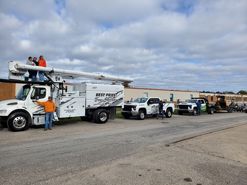 Northern Michigan tree service