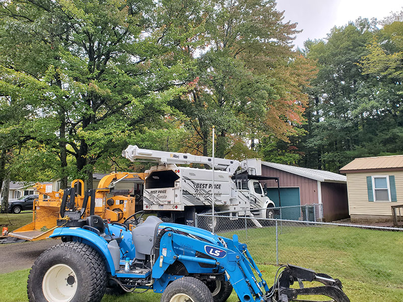 Tree removal work