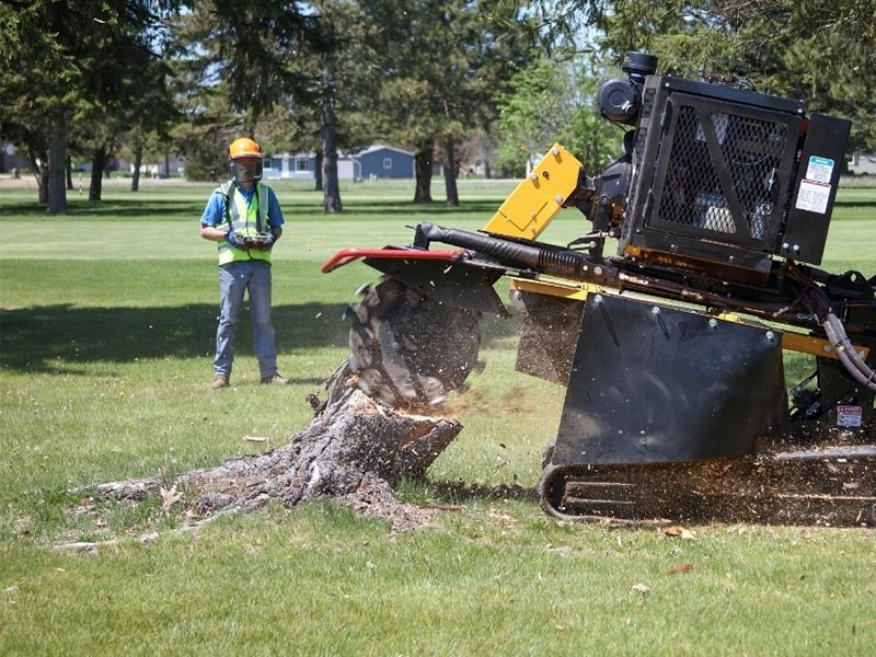 Stump Grinding