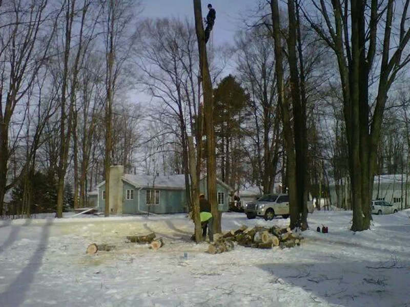 Trimming and canopy cleanup