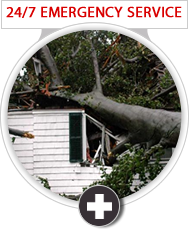 24/7 Emergency Tree Service