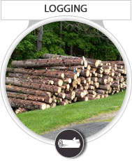 Logging