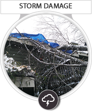 Storm Damage Cleanup