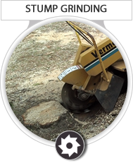 Stump Grinding