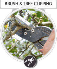 Brush & Tree Clipping